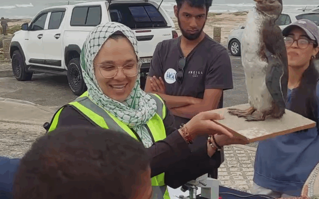 Connecting communities to the ocean — and keeping litter out of it