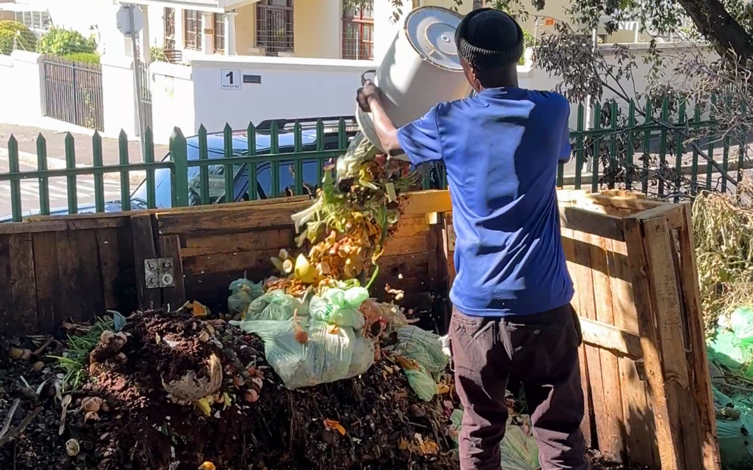 From a banana peel to black gold. How Gooi is turning waste into work